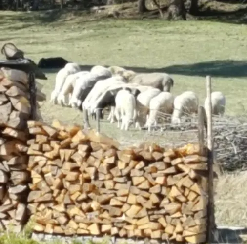 Haus Betz Apartamento *